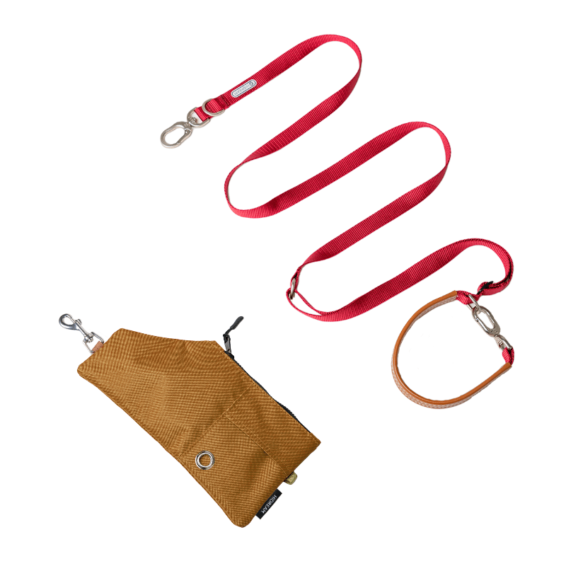 Bobo Series Combo Set – Hands - Free Dog Leash & Outdoor PVC Bag - Paw Charge